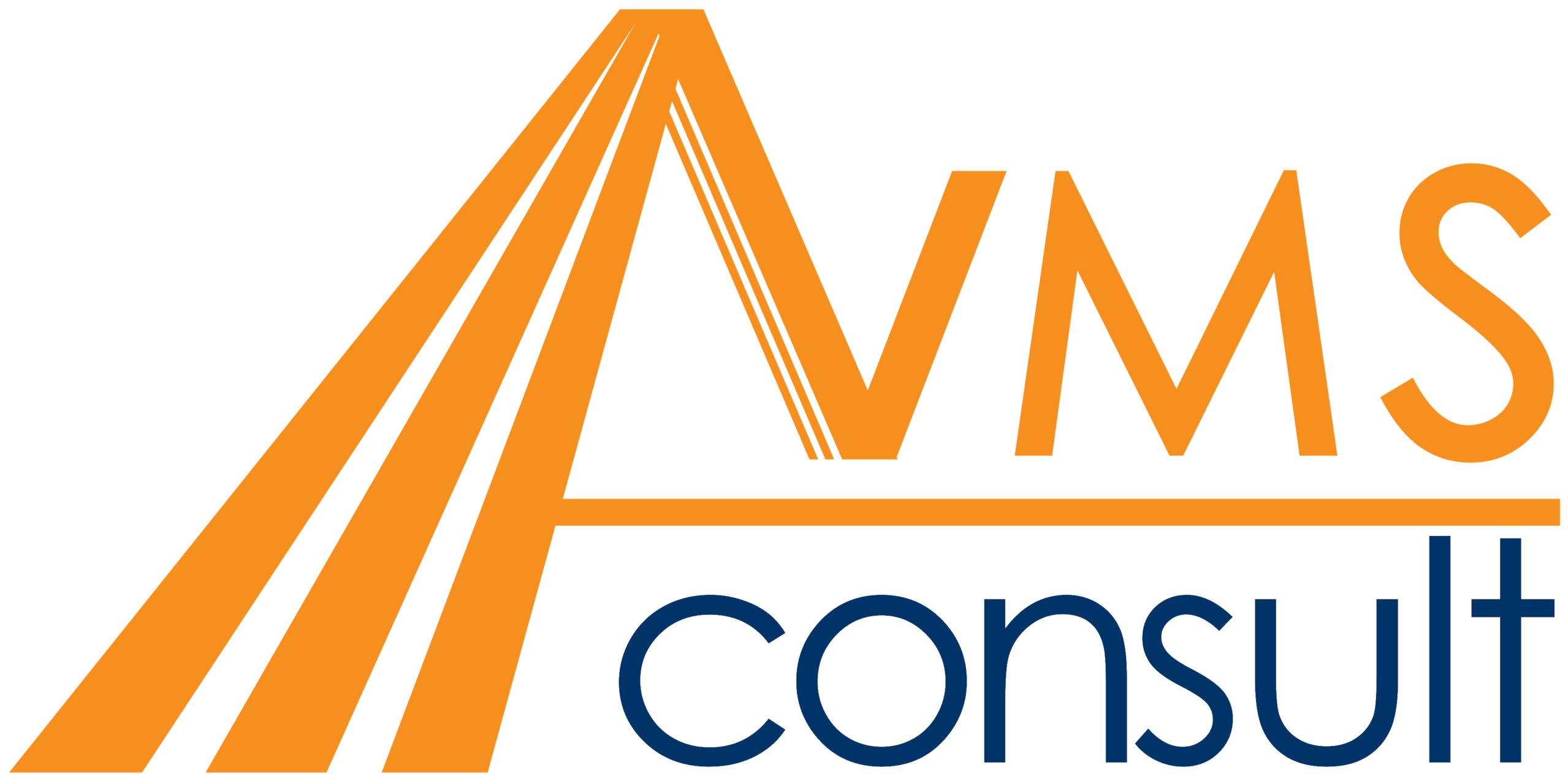 VMS Consult BV